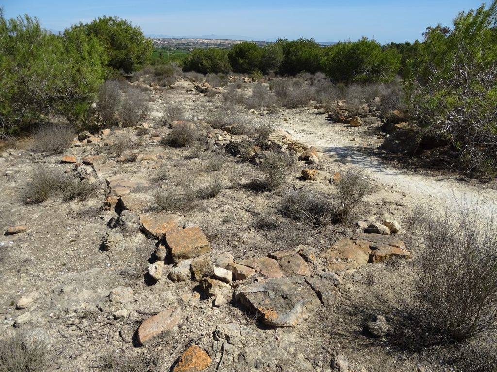 Yacimiento Cabezo Lucero