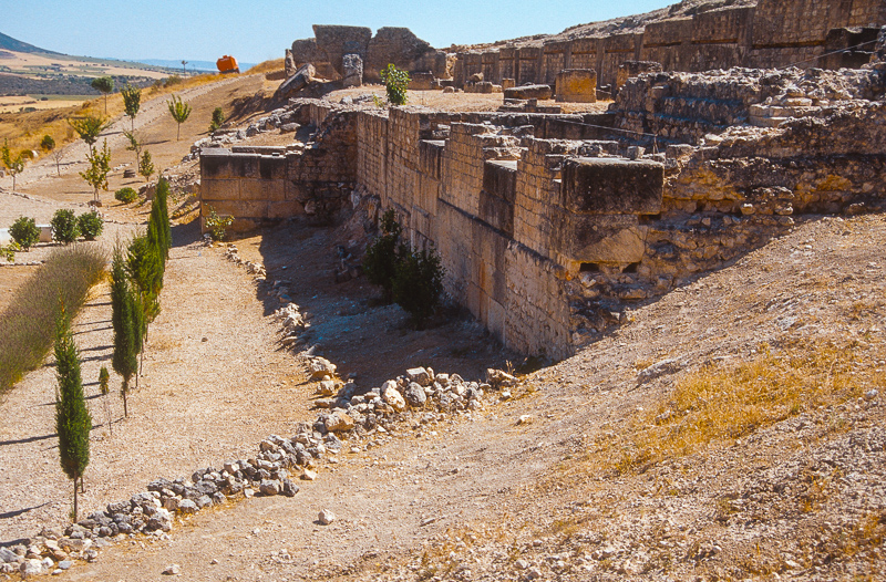 Ciudad Romana de Ercávica