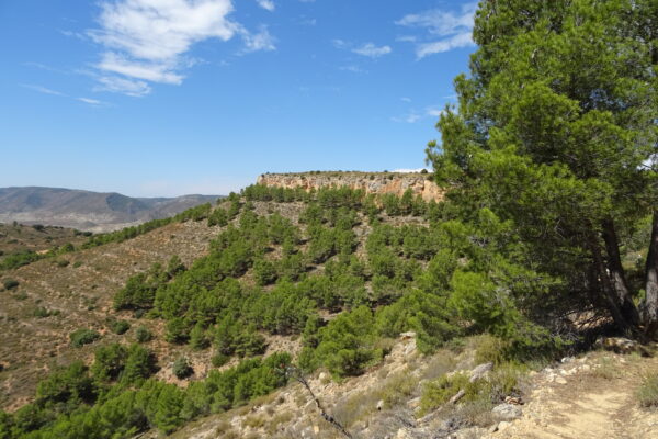 Santuario celtíbero de Peñalba de Villastar
