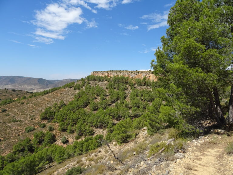 Santuario celtíbero de Peñalba de Villastar