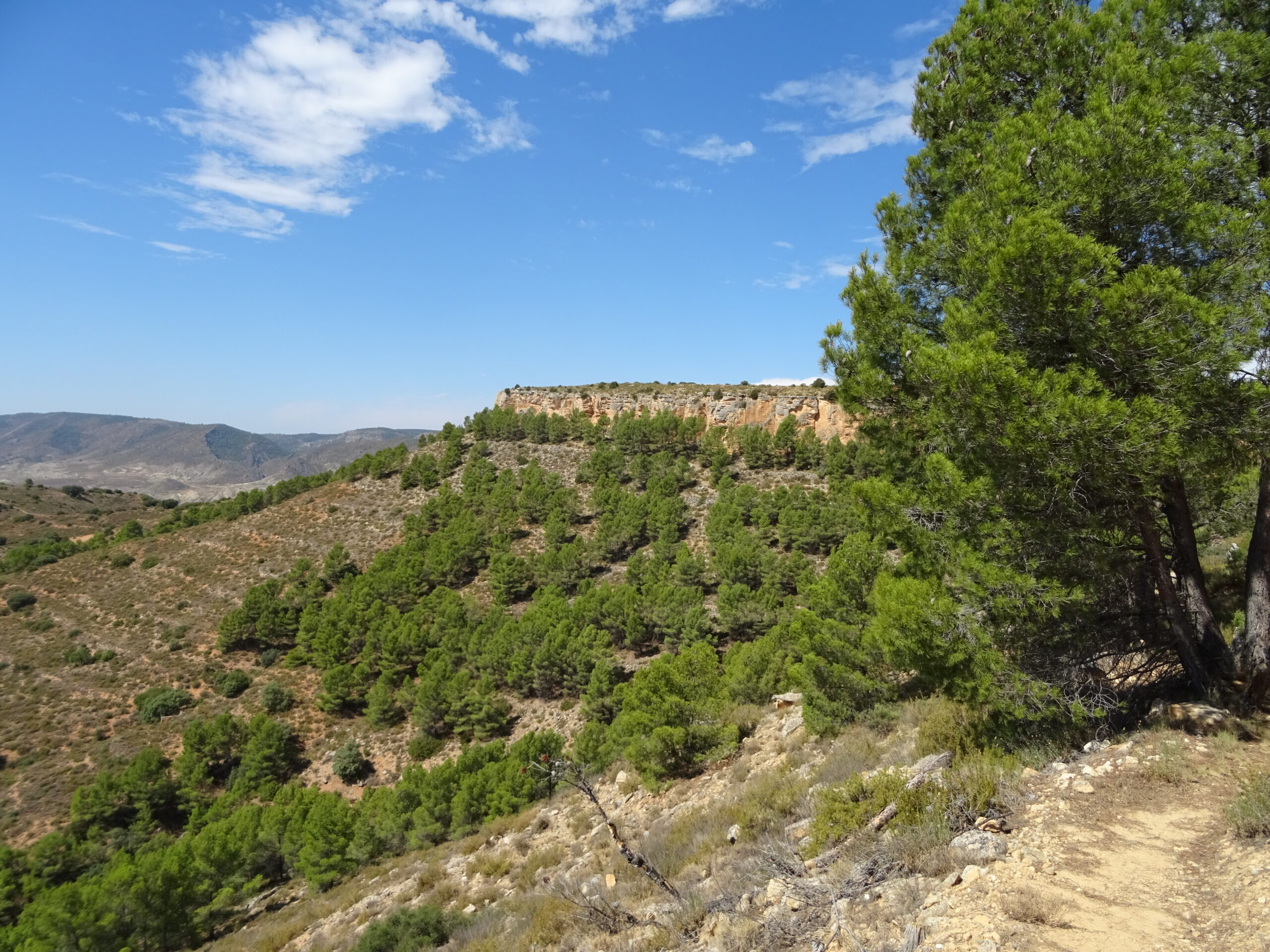 Santuario celtíbero de Peñalba de Villastar